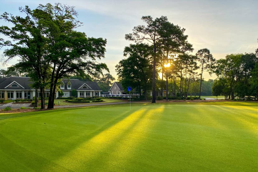 Greens Club in Columbia SC Member Deals? Get Discounts & Join Tips Now!