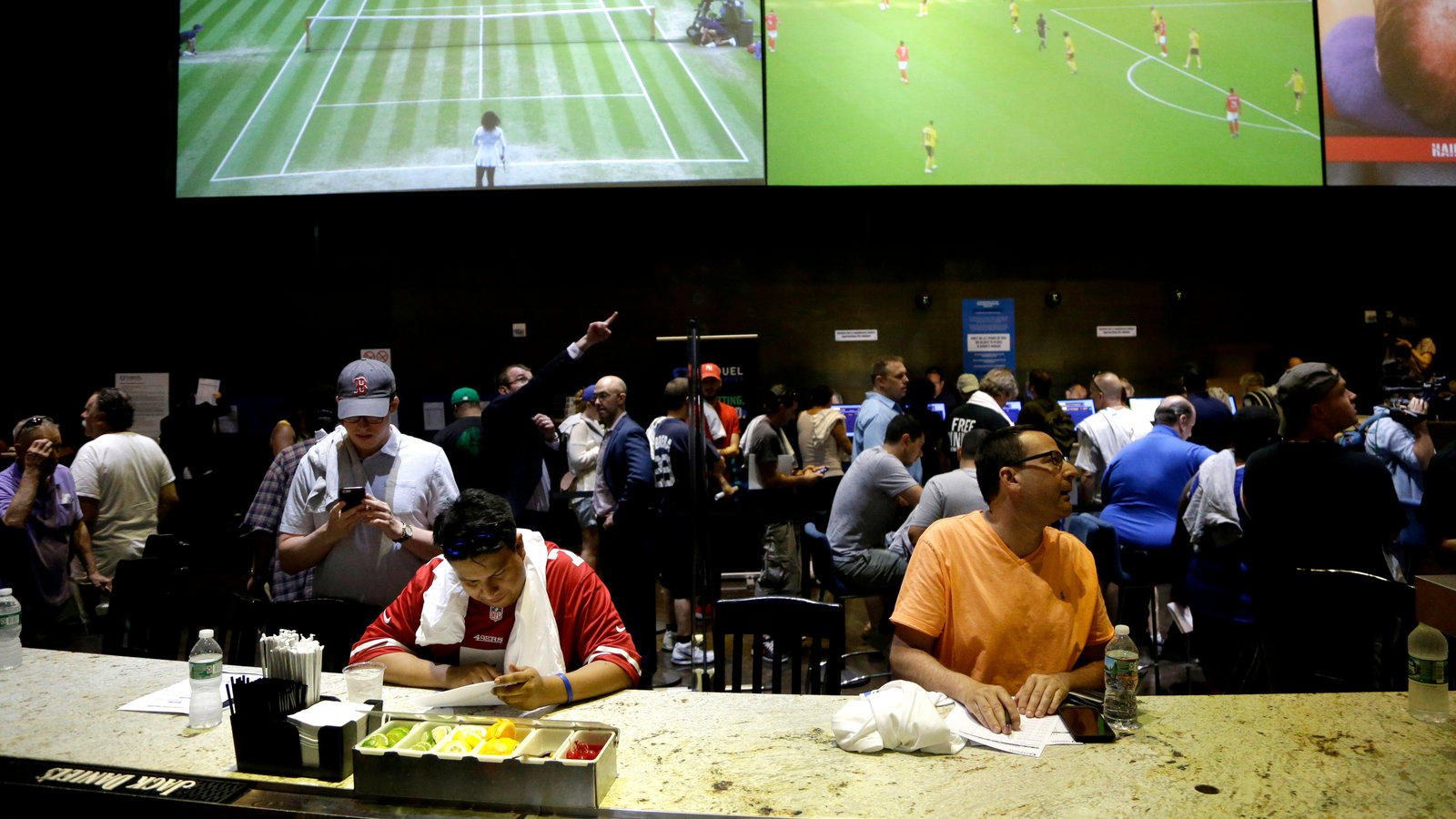 Get Winning Meadowlands Free Picks Expert Choices Inside