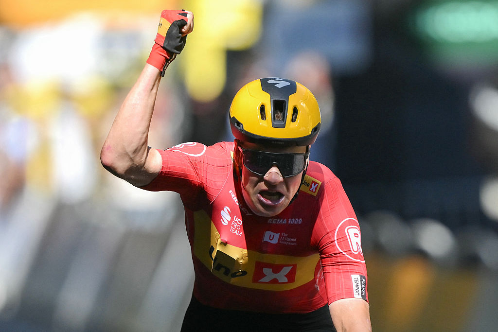 TDF Stage 11 Results Revealed: Who Won the Big Race Today?