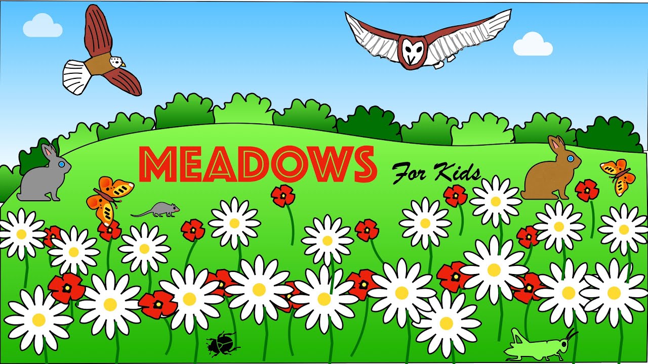 Meadowl Habits Explained Learn Where They Live and What They Eat