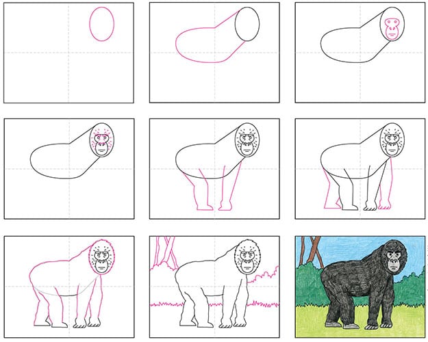Draw Gorilla Easily Step by Step Guide with Basic Shapes
