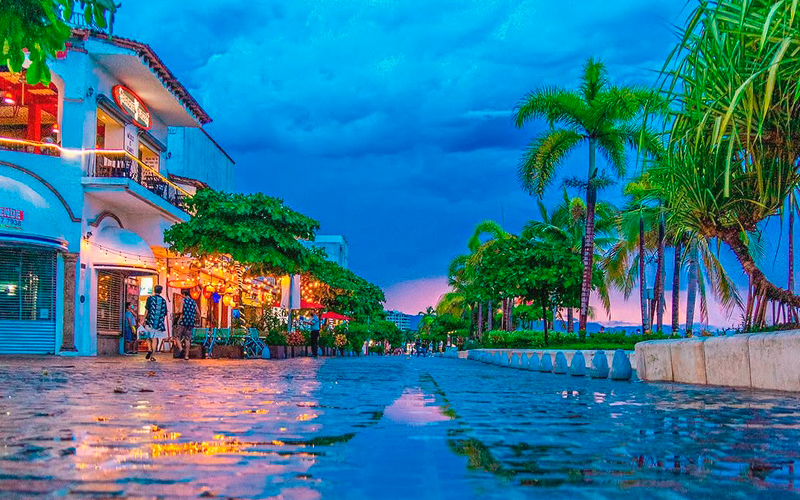 Best Things to Do in Puerto Vallarta August: Rainy Day Backup Plans Included