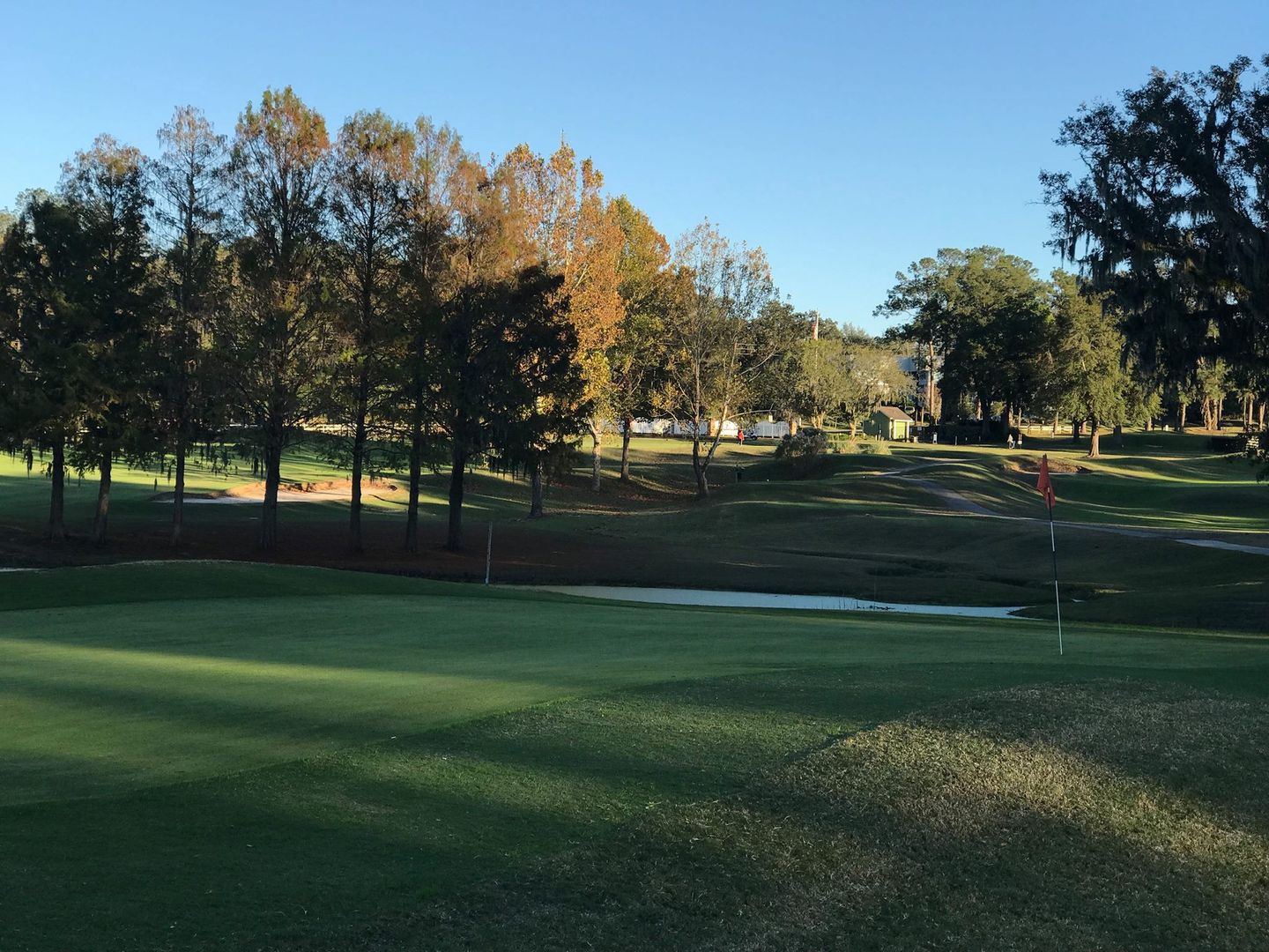 Top Features at Meadowbrook Gainesville Golf Course Every Golfer Should See
