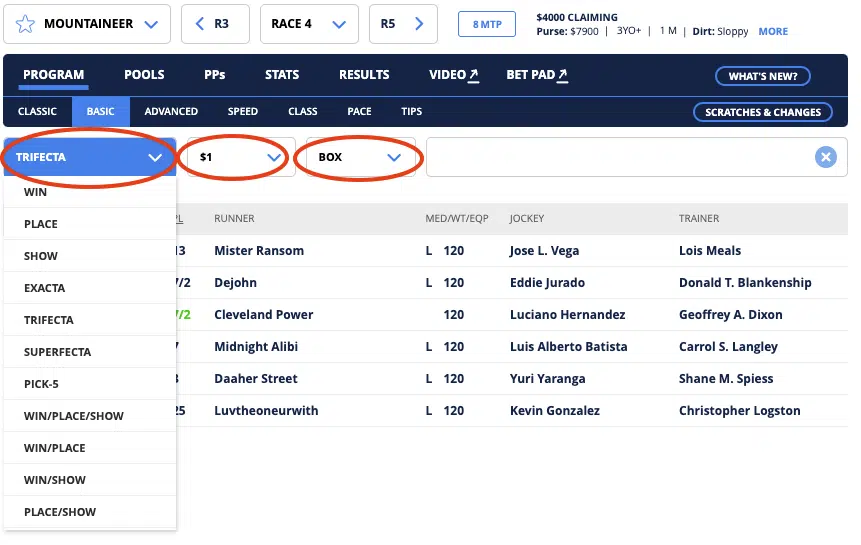 How to Bet a 4 Horse Trifecta Box: Step-by-Step Cost Guide Explained