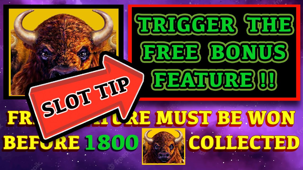 How to Win Buffalo Link Slot Machine? Pro Players Share Their Tricks!