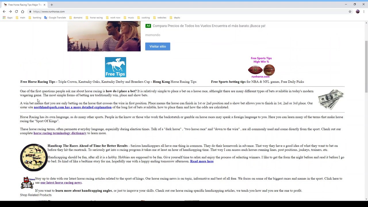 What is horse race slang explained plus learn key terms easily