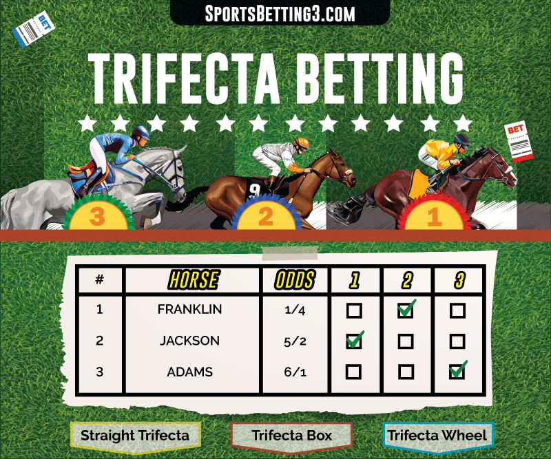 How to Bet a 4 Horse Trifecta Box: Step-by-Step Cost Guide Explained