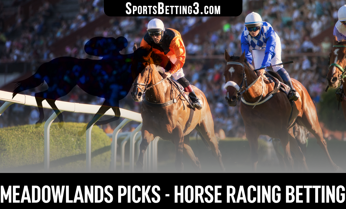 Get Winning Meadowlands Free Picks Expert Choices Inside