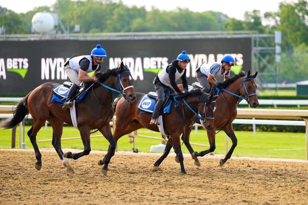 Free picks belmont today success: real stories and tricks to win big this season.