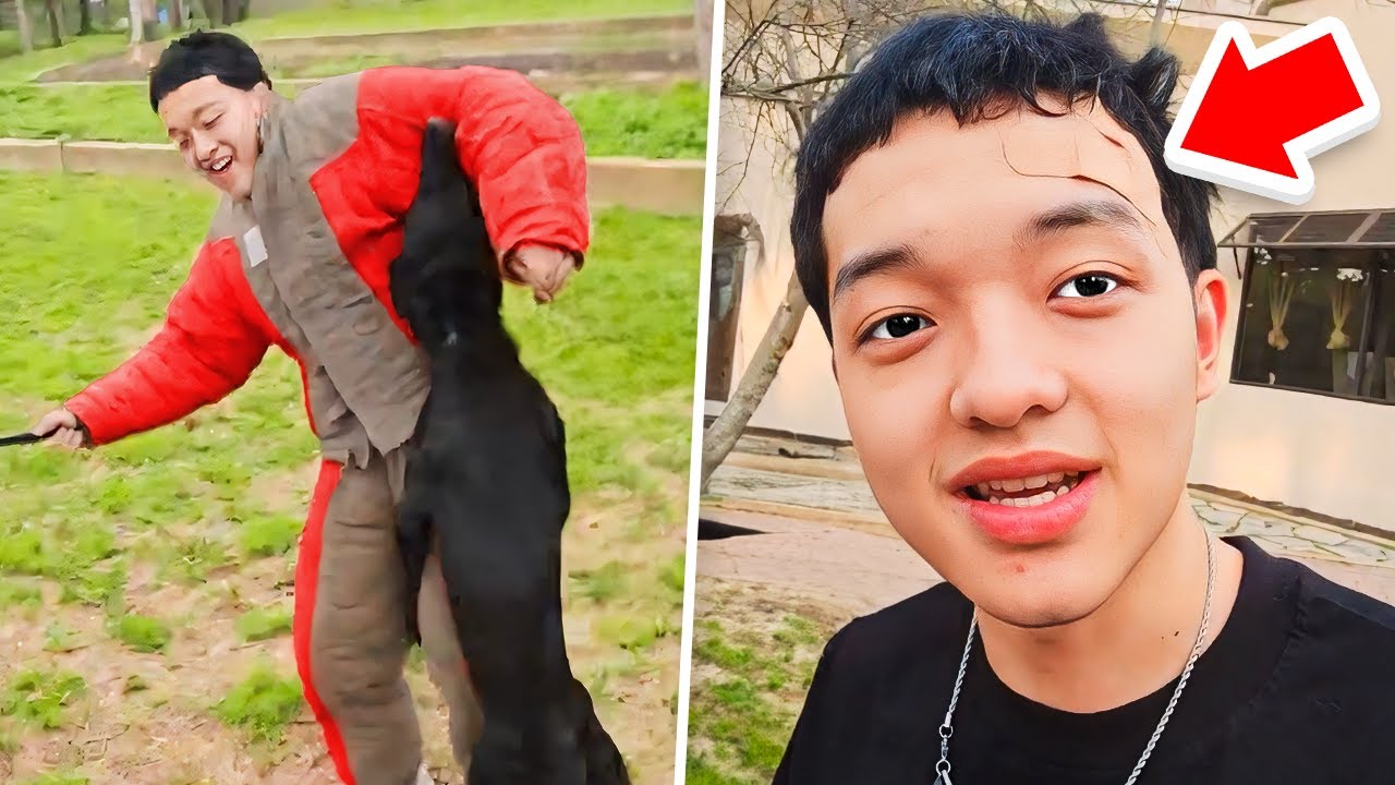 Jasontheween dog attack explained: what victims need to know now.