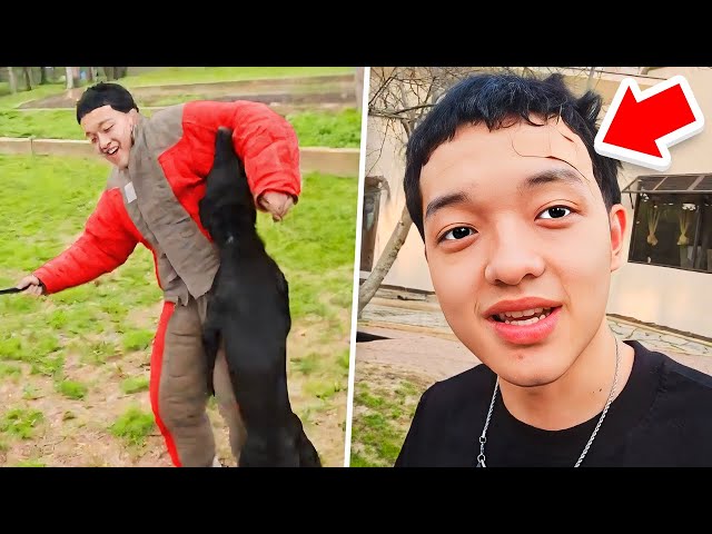 Jasontheween dog attack explained: what victims need to know now.