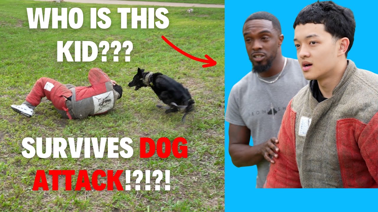 Jasontheween dog attack explained: what victims need to know now.