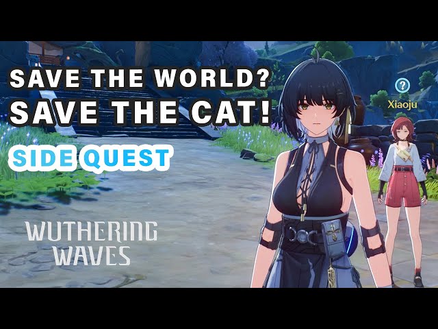 Save the World Save the Cat Wuthering Waves Easy Complete Walkthrough Guide