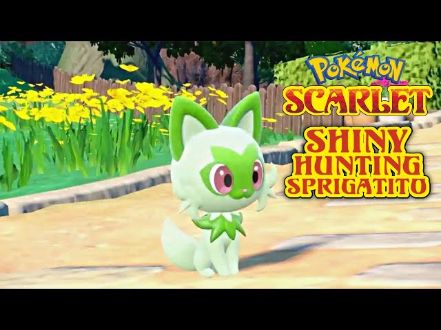 Where to find Sprigatito shiny? (Top locations for Pokémon success!)