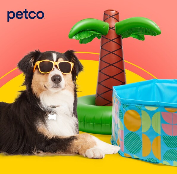 Discover What Pink Petco Offers: Top Pet Products You Need!