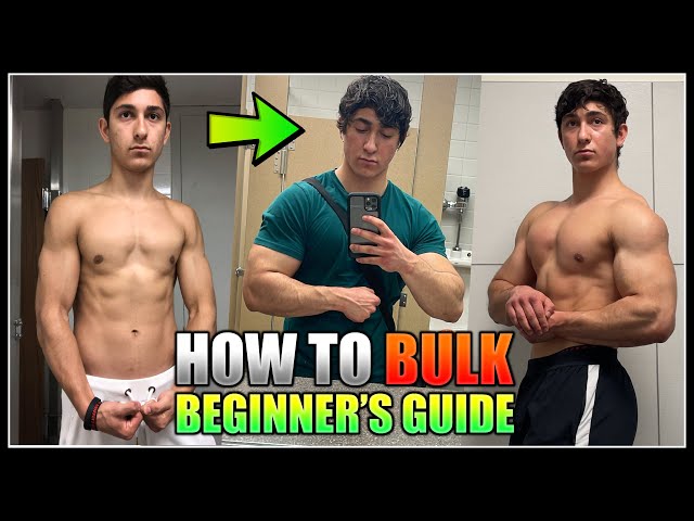 How to use bulj step by step guide for beginners