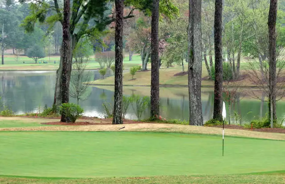 East Lake Golf Club Grass Type: What Turf Makes Their Greens So Special?