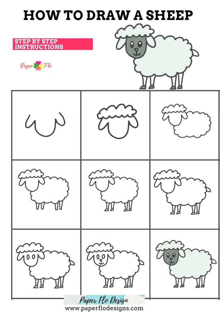 How to Lamb Draw Step by Step 10 Easy Methods for Beginners